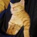 Thomas Violette - Facebook