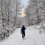 Thomas Vock - @thomi_68 - Instagram