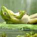 Thomas Vockerodt - Facebook