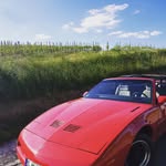 Thomas Volkert - @volkertthomas - Instagram
