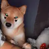 Thomas Vu - @imsamoht - TikTok