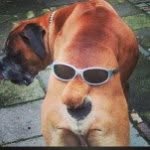 @thomas_wakeman1 - Instagram