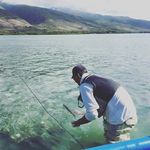 Thomas Waldschmidt - @thomaswaldo - Instagram