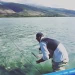 Thomas Waldschmidt - @thomaswaldo - Instagram
