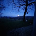 thomas walser - @thomi_muck - Instagram
