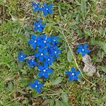Thomas Walser - @thomas.walser.718 - Instagram