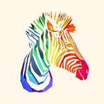 Thomas Walser DOP - @thomas_walser_dop_z - Instagram