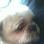 Thomas warnock - @thomas_warnock646875676 - Instagram