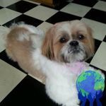 Thomas Waters - @thomas.waters.3517563 - Instagram