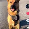 thomaswaters626 - @thomaswaters626 - TikTok