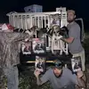 Hounds and deer - @thomasweese1 - TikTok