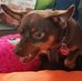 Thomas Wehmeyer - Facebook