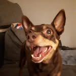 Thomas Wehmeyer - @wehmeyerthomas - Instagram