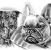 Thomas Wehr - Facebook