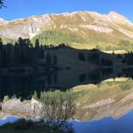 Thomas Wehrli - @thomas.wehrli.50 - Instagram