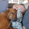 thomasbehrenberg - @thomasbehrenberg - TikTok
