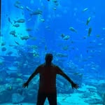 Thomas Weigand - @wgd1305 - Instagram