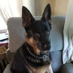 Thomas Weightman - @ntw6411 - Instagram