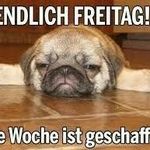 thomas Weisser - @weisserthomas - Instagram