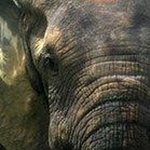 Thomas wert - @wert_thomas - Instagram