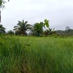 Thomas Wertsch - @thomaswertsch - Instagram