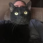 Thomas Wertz - @wertzthomas - Instagram