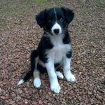 Thomas.Westra - @thommiee321 - Instagram