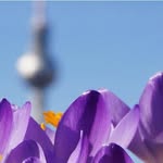 Thomas Wetter - @thomaswetter - Instagram