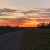 Thomas Wetterwald - @thomas_wetterwald - TikTok