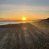thomas_ - @._.thomaswhite - TikTok