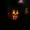 Thomas White - @thomaswhite331 - TikTok