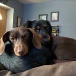 Thomas Dale Whitener - @fire7501 - Instagram