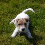 Thomas Wichmann - @thomas.wichmann57 - Instagram
