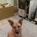 Thomas Widhalm - Facebook