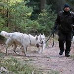 Thomas Wieckhorst - @thomas.wieckhorst - Instagram