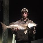 Thomas Wiggins - @thomaswiggins426 - Instagram