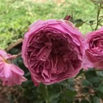 Thomas Wight - @wight.thomas - Instagram