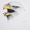 thomaswildes422 - @thomaswildes422 - TikTok
