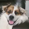 Thomas Will - @thomas.will01 - TikTok