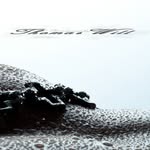 Thomas Will Photography 2.0 - @thomaswillphotography - Instagram