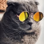 Thomas Willey - @thomaswilleeyy - Instagram
