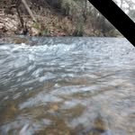 Thomas Williford - @thomas.williford.754 - Instagram
