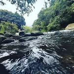 Thomas Willingham - @goyanifakak74 - Instagram