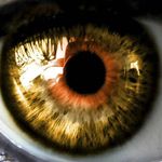 Thomas Willmott - @_.eye.eye._ - Instagram