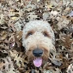 Thomas Wilmes - @wilmes.thomas - Instagram
