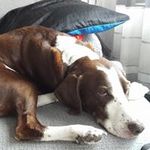 Thomas  Wilms - @t.wilms - Instagram