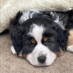Thomas Wilms - @thomas_werner_wilms - Instagram