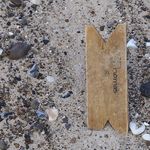 Thomas Wilms - @thowiwi - Instagram