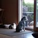 Tom Wilmsen - Facebook