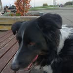 Thomas Wimmer - Facebook